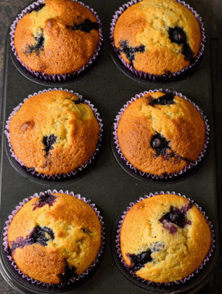 Golden blueberry yogurt muffins baked in a muffin tin, with juicy blueberries showing through the tops in purple paper liners.